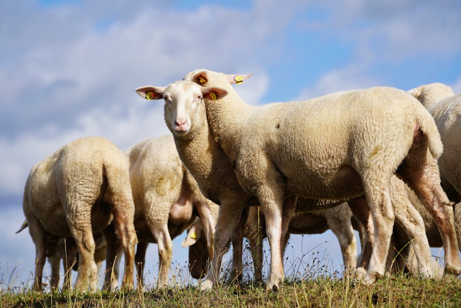 medo de falar em público