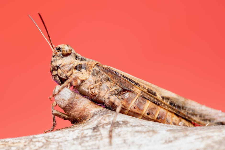 mudar de vida - felicidade