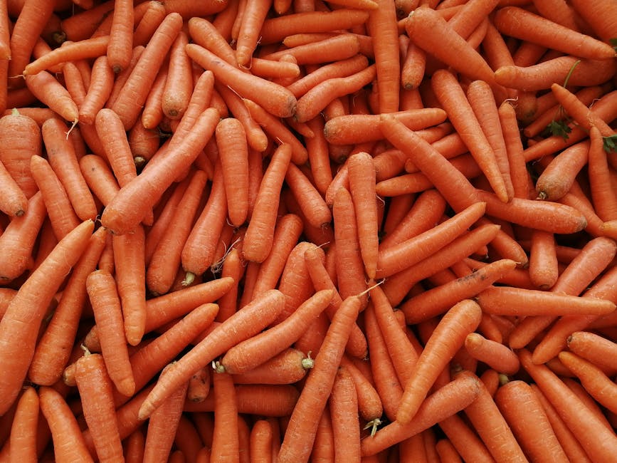 Medir a autoconfiança favorece reconhecimento dos próprios limites