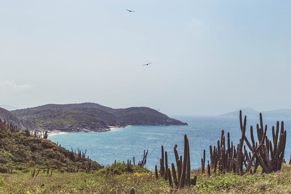 lugares mais frios do mundo