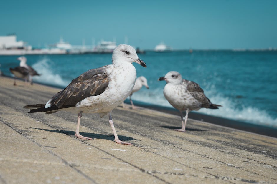 fotografia de viagens