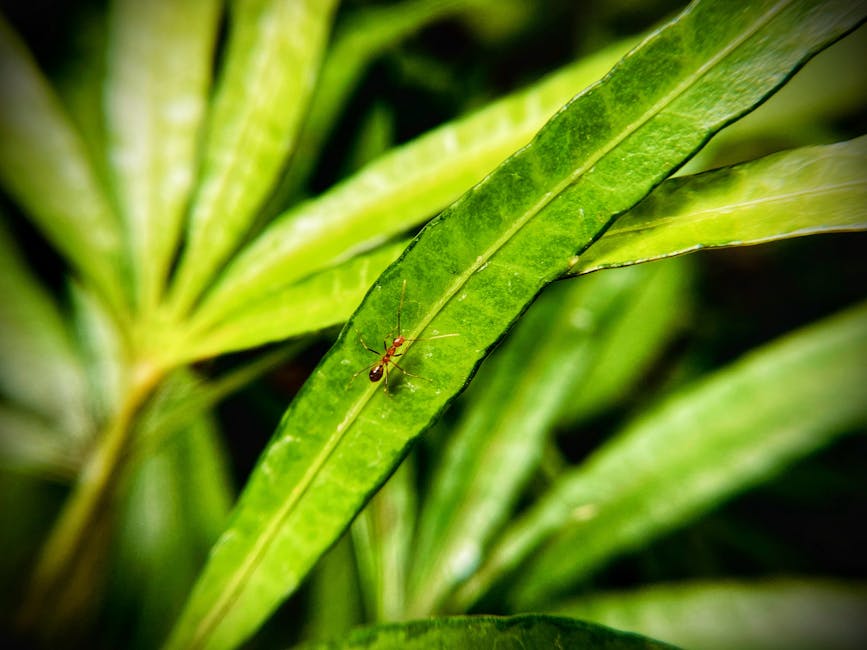 lugares para ir antes de morrer