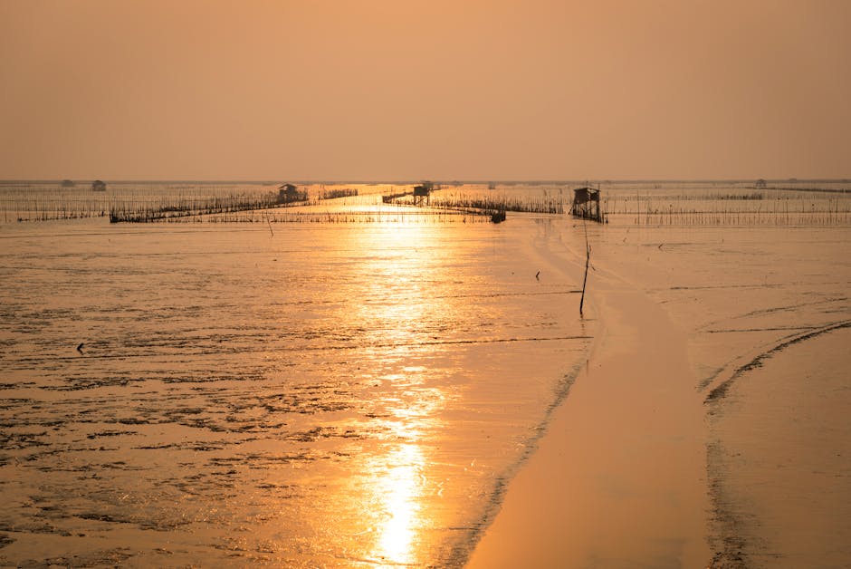 Bath precisa estar no seu roteiro na Inglaterra