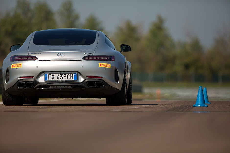 maratonas pelo mundo pista