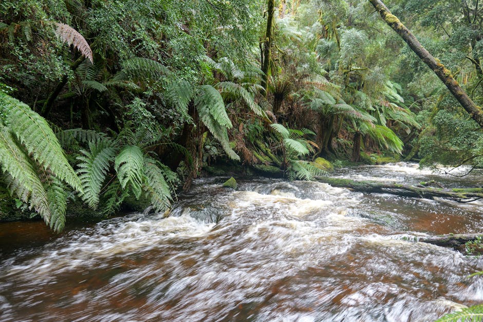 Tasmania - Austrália