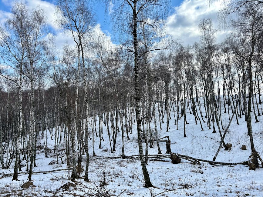 melhor época para viajar para Europa em 2018