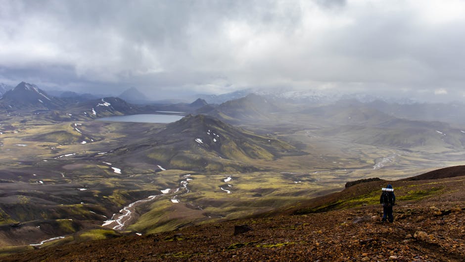 Resultado de imagem para airbnb