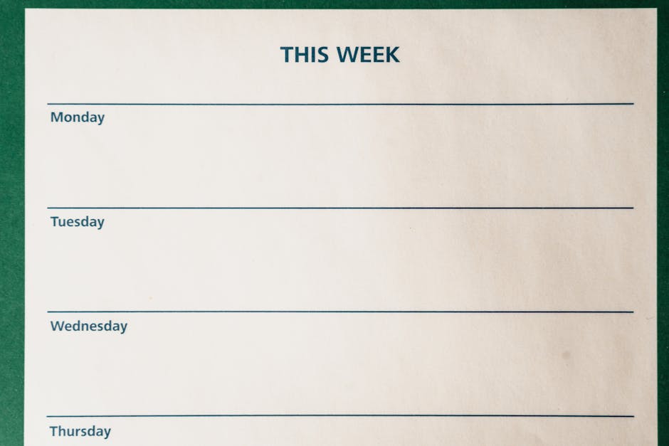 O poder da concentração no dia a dia