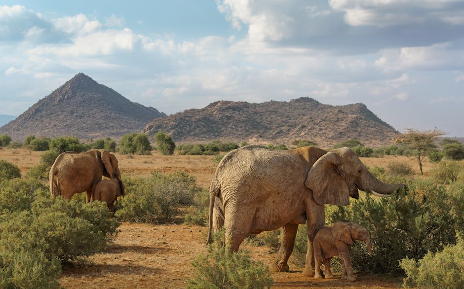 países para trabalhar como estrangeiro