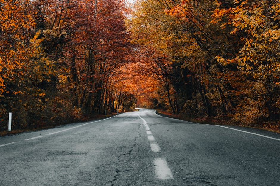Cachoeira El Dourado Maior Cachoeiras do Brasil