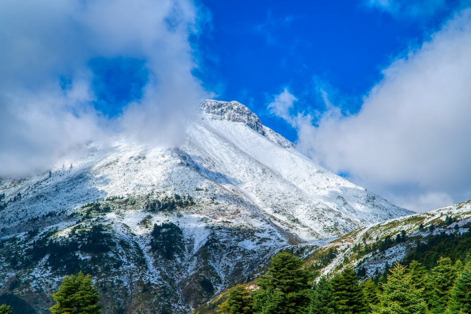 vegetarianismo - hoteis em São Paulo.
