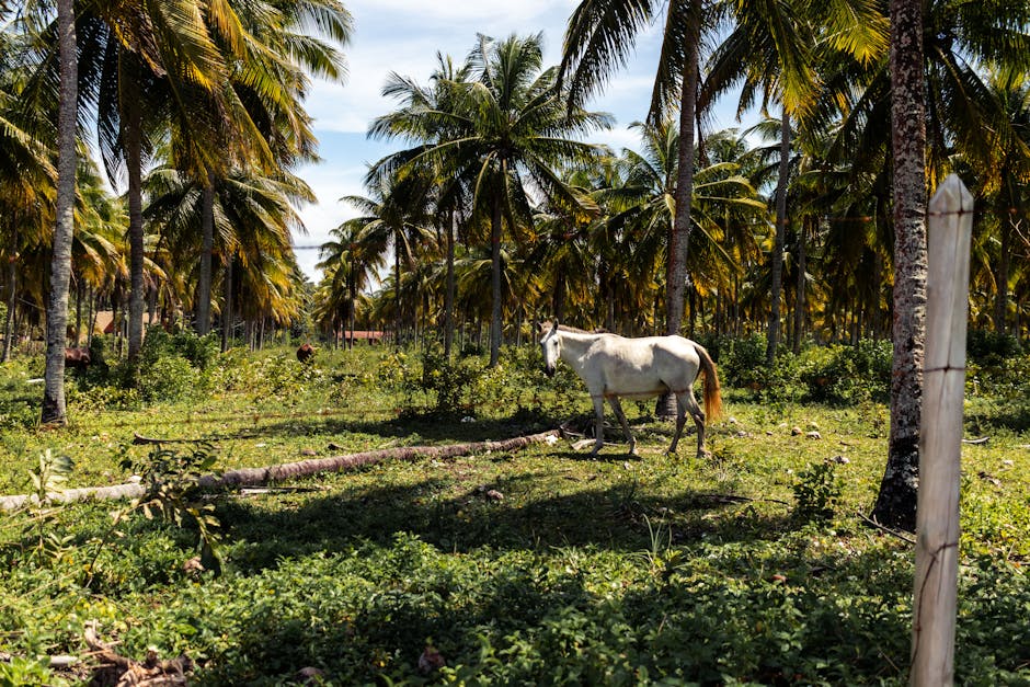 restaurantes vegetarianos de São Paulo