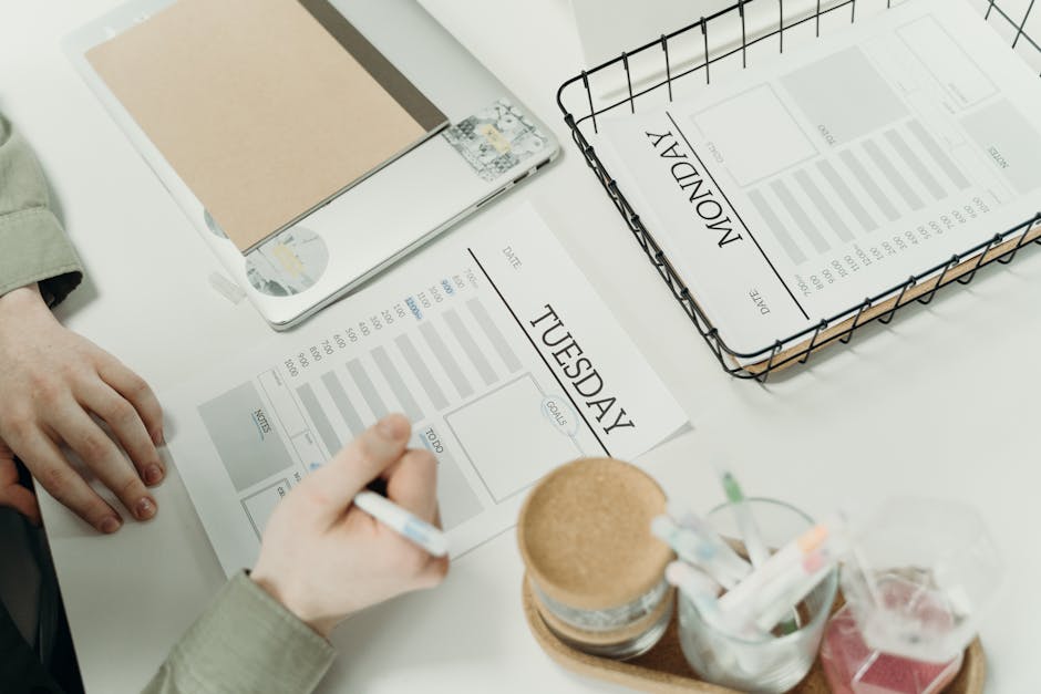 cuidar de animais de estimação