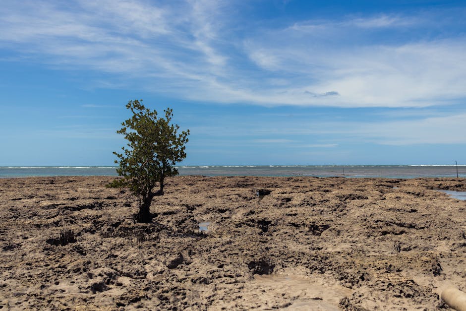 Fernando de Noronha - Morro Dois Irmãos