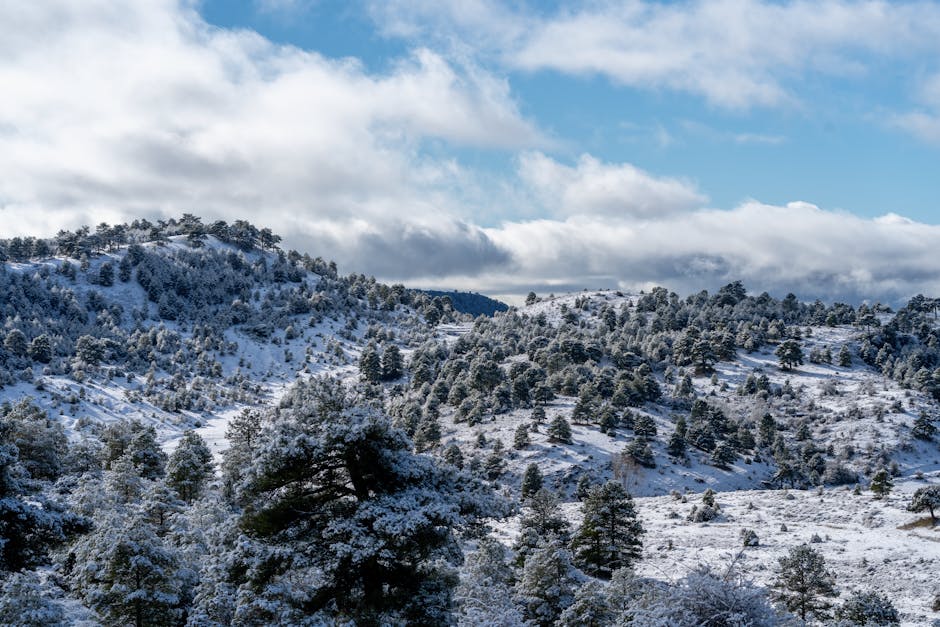 curiosidades do mundo antigo