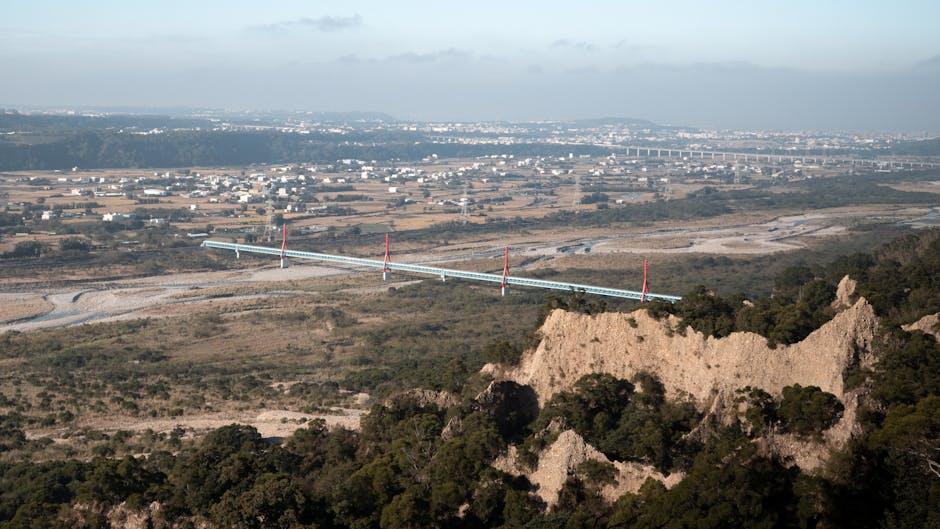 propósito e valores