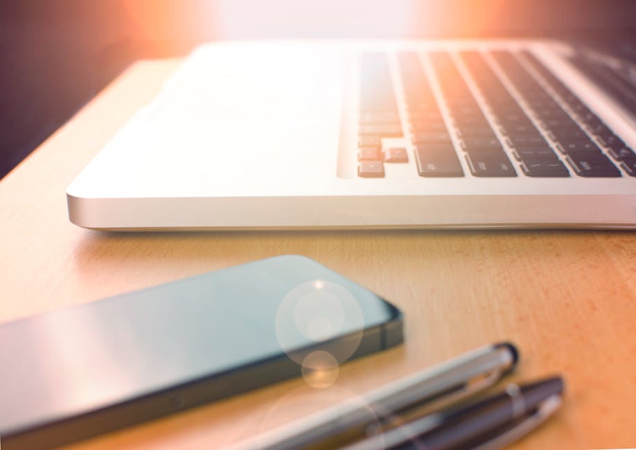 Entradas e saídas mês