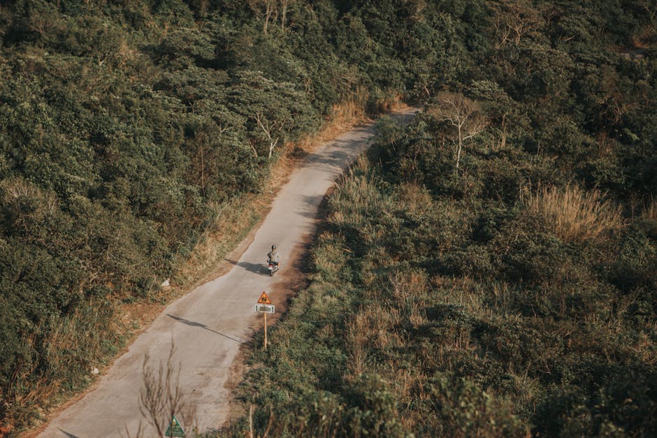 inauguração da Disneyland 3