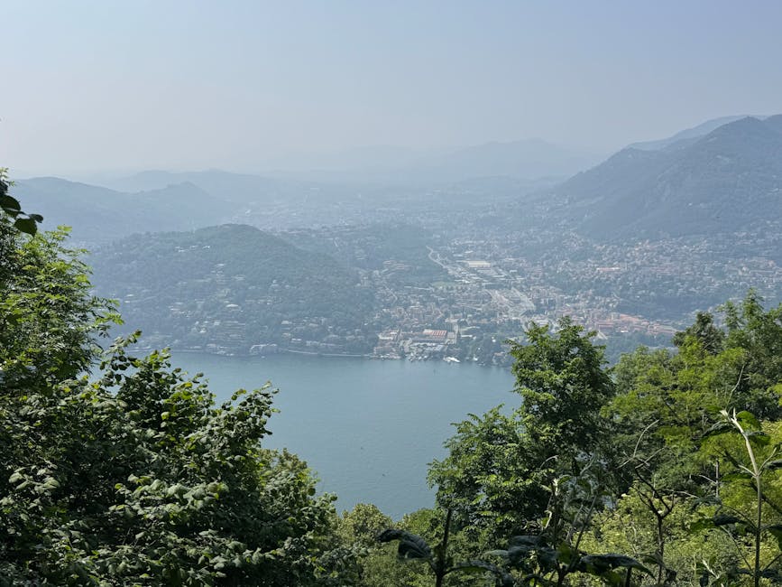 como escolher infoprodutos lucrativos 1