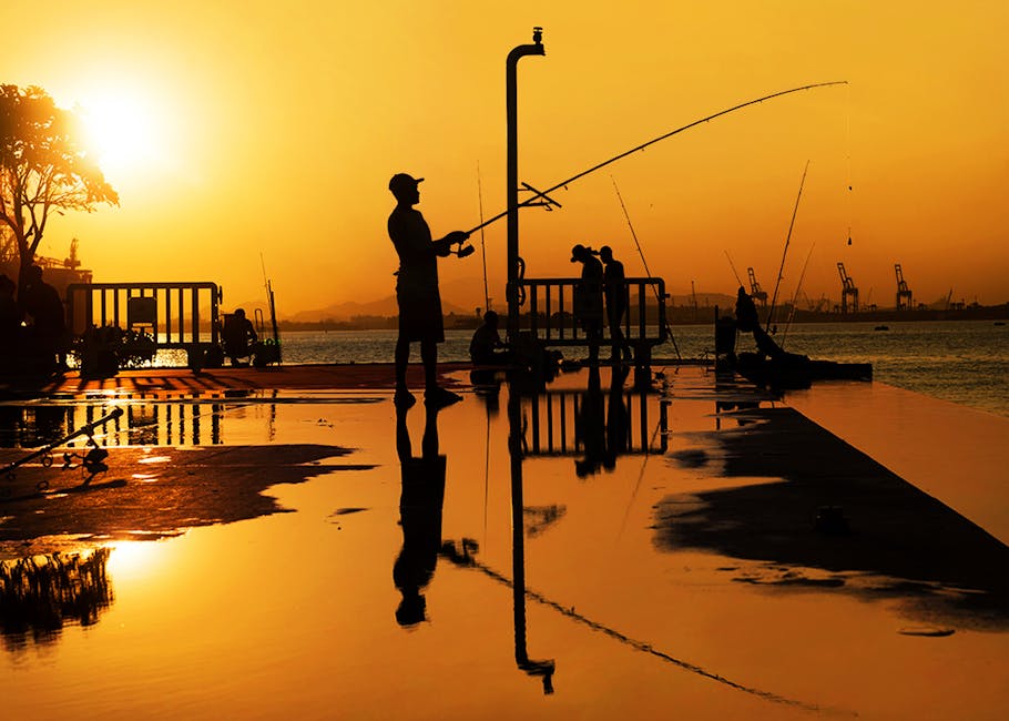 como estudar por Interrogação elaborativa 2