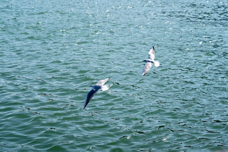 Promessas do ano novo 1