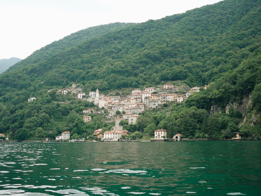 Como realizar seus sonhos com o Carlos Wizard 1