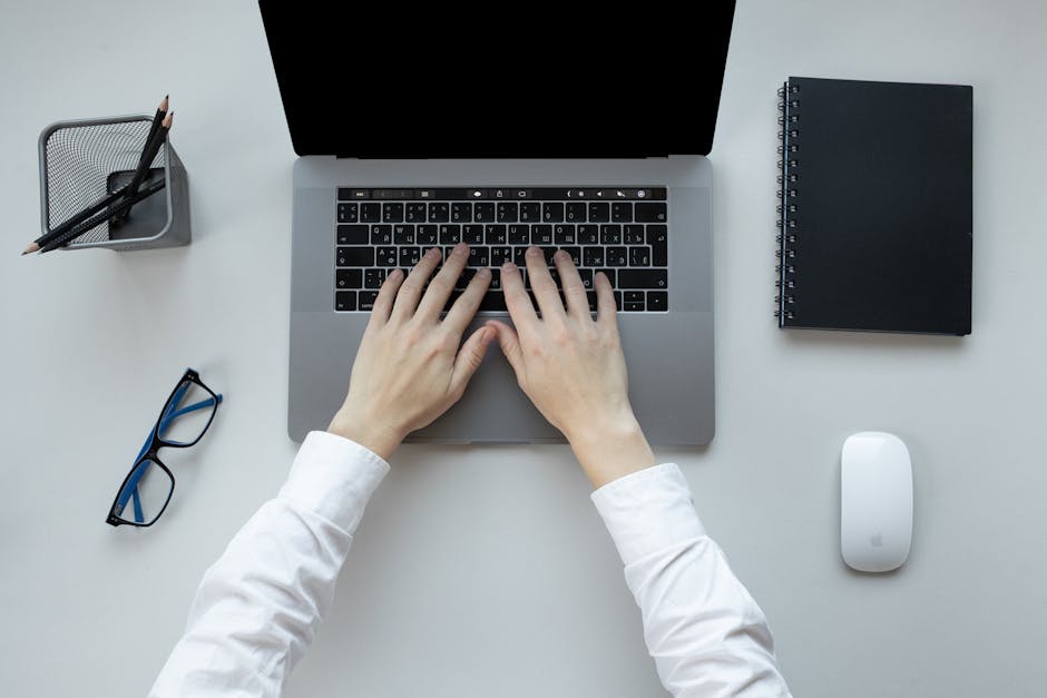 colegas de trabalho comemorando